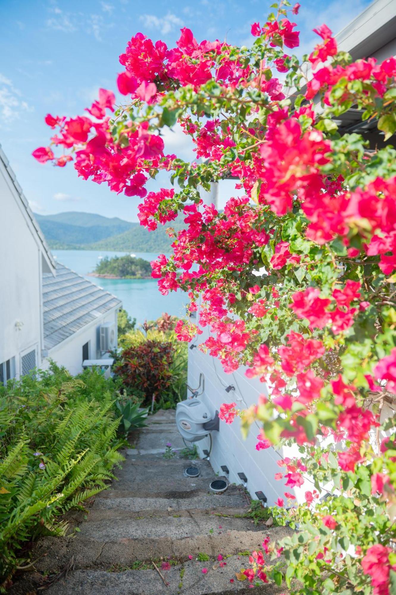 The Haven View - Airlie Beach Exterior photo