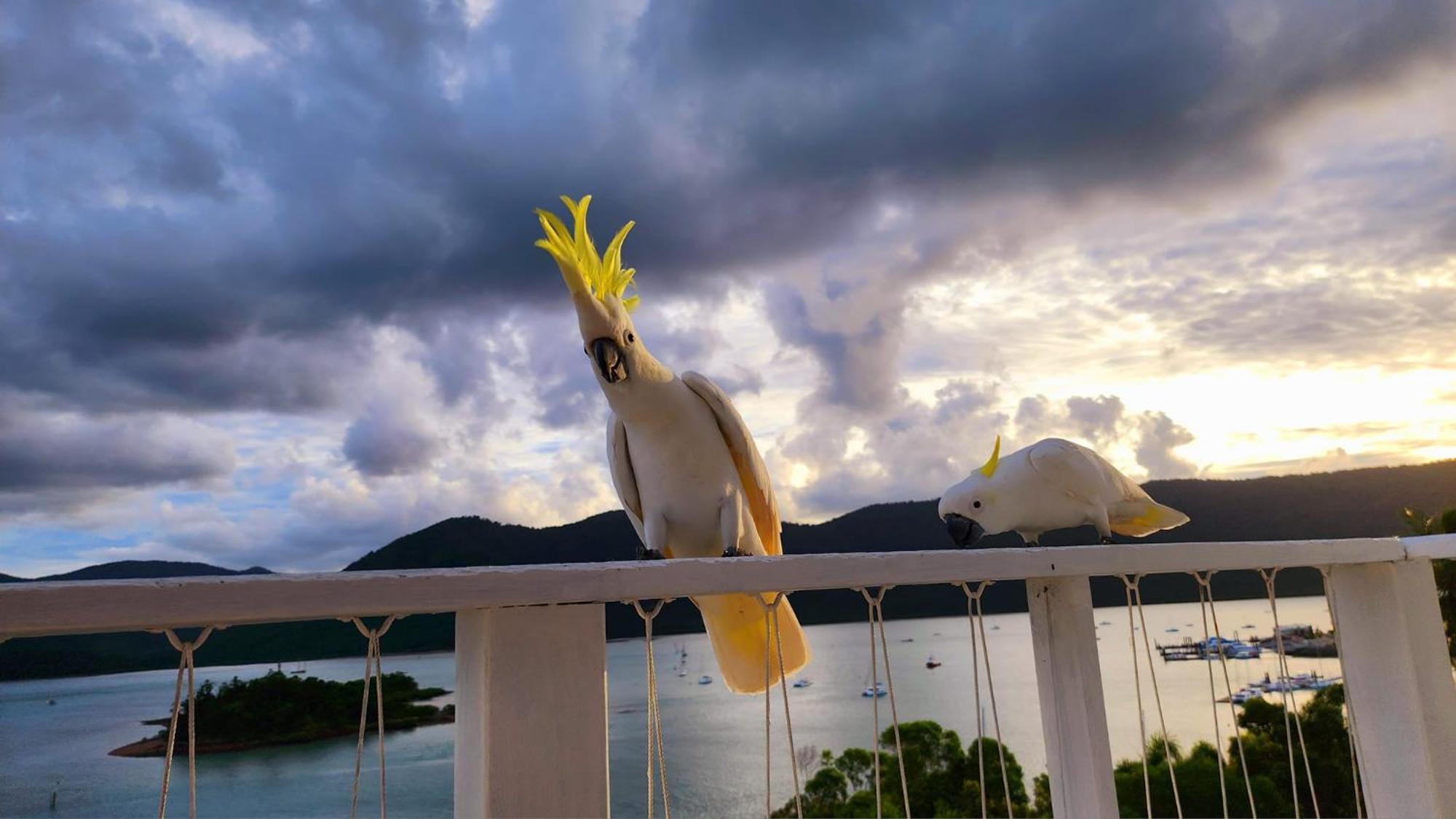 The Haven View - Airlie Beach Exterior photo